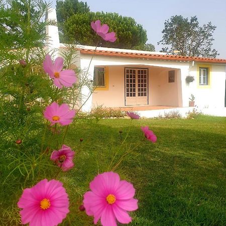Sondela Self Catering Villa São Martinho do Porto Buitenkant foto
