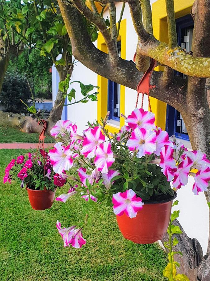 Sondela Self Catering Villa São Martinho do Porto Buitenkant foto