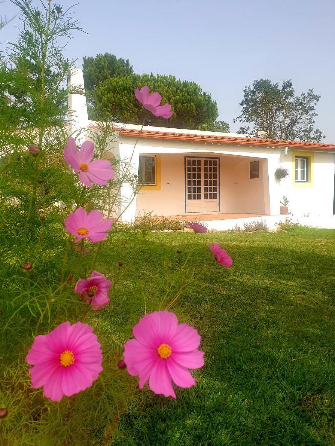 Sondela Self Catering Villa São Martinho do Porto Buitenkant foto