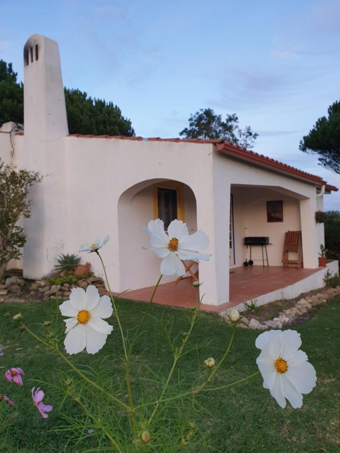 Sondela Self Catering Villa São Martinho do Porto Buitenkant foto