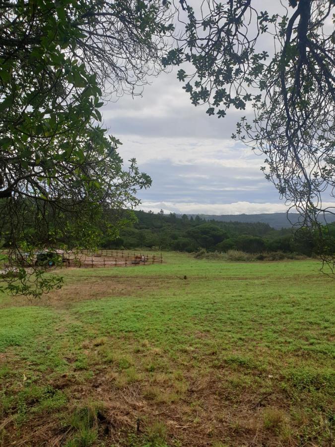 Sondela Self Catering Villa São Martinho do Porto Buitenkant foto