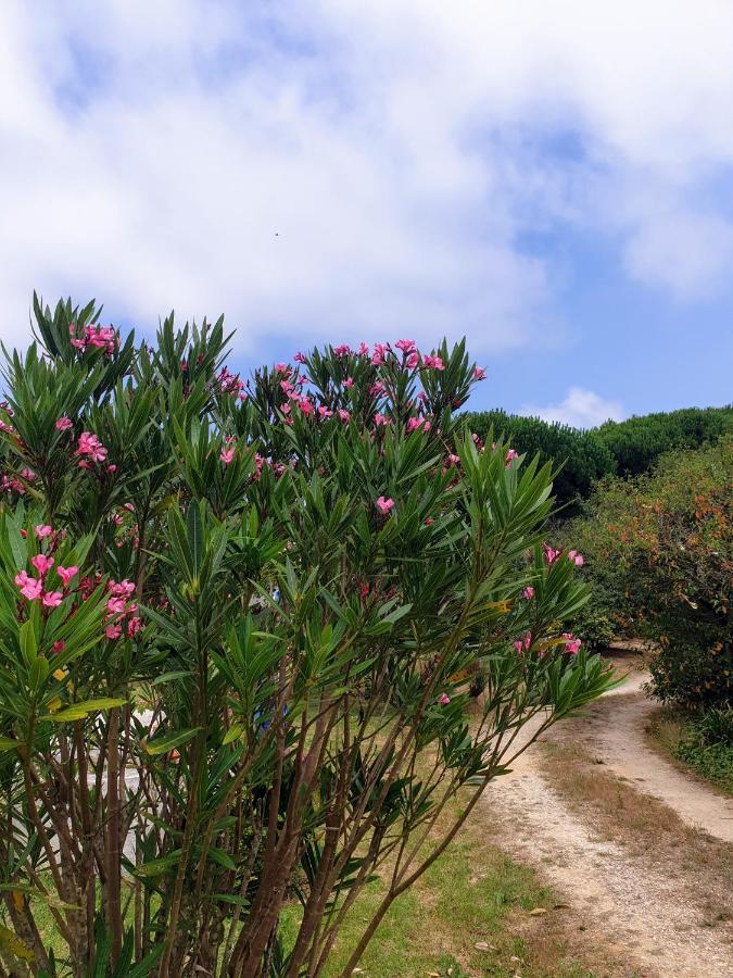 Sondela Self Catering Villa São Martinho do Porto Buitenkant foto
